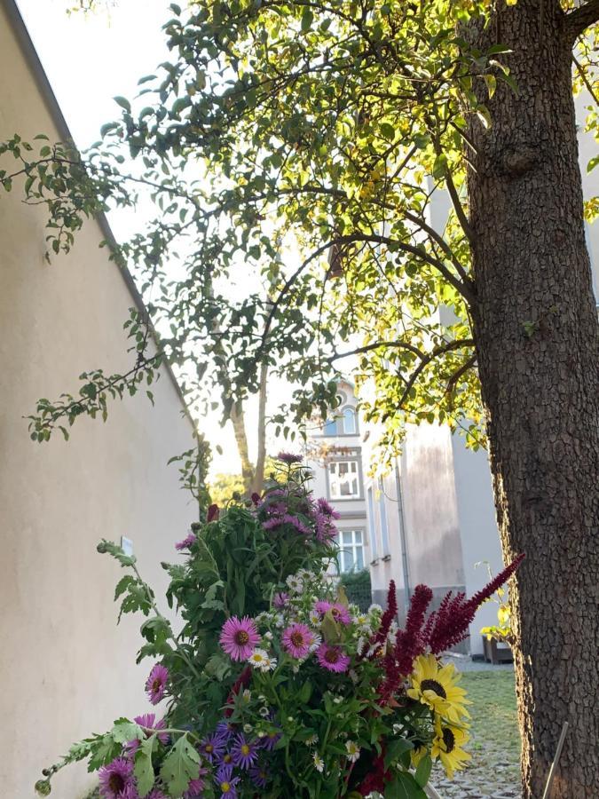 Apartamento Special